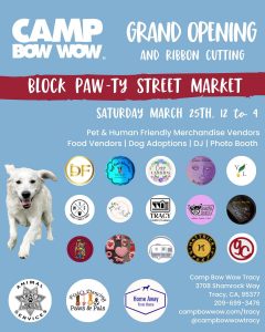 Years in Review Camp Bow Wow 3/25/2023