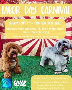 Years in Review Camp Bow Wow 9/2/2023