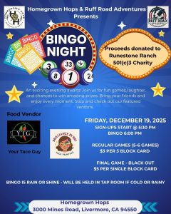 Years in Review dec 19th