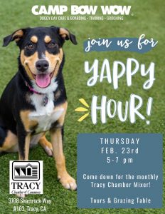 Years in Review Camp Bow Wow 2/23/2023