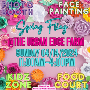 Years in Review Spring Fling 4/14/2024