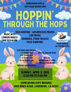 colorful illustrative easter egg hunt flyer